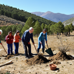**

A diverse group of people of all ages volunteer planting native trees in a deforested area of Sierra de Gredos, Spain. The focus should be on the act of planting, with shovels, saplings, and the dry, mountainous landscape in the background. Depict a sunny day with a sense of hope and community spirit.

**