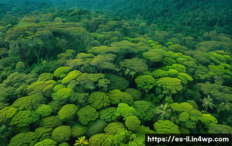 생태계 복원 기술을 활용한 생물 다양성 보호 - A vibrant aerial view of a restored tropical forest in Latin America, captured by a drone flying ove...