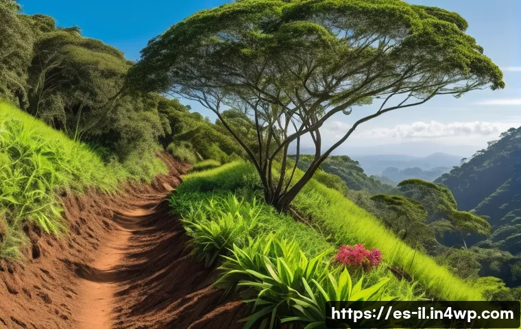 생태계 복원 기술과 대중 참여 방법 - A vibrant ecological restoration scene showcasing bioengineering techniques in a Latin American trop...