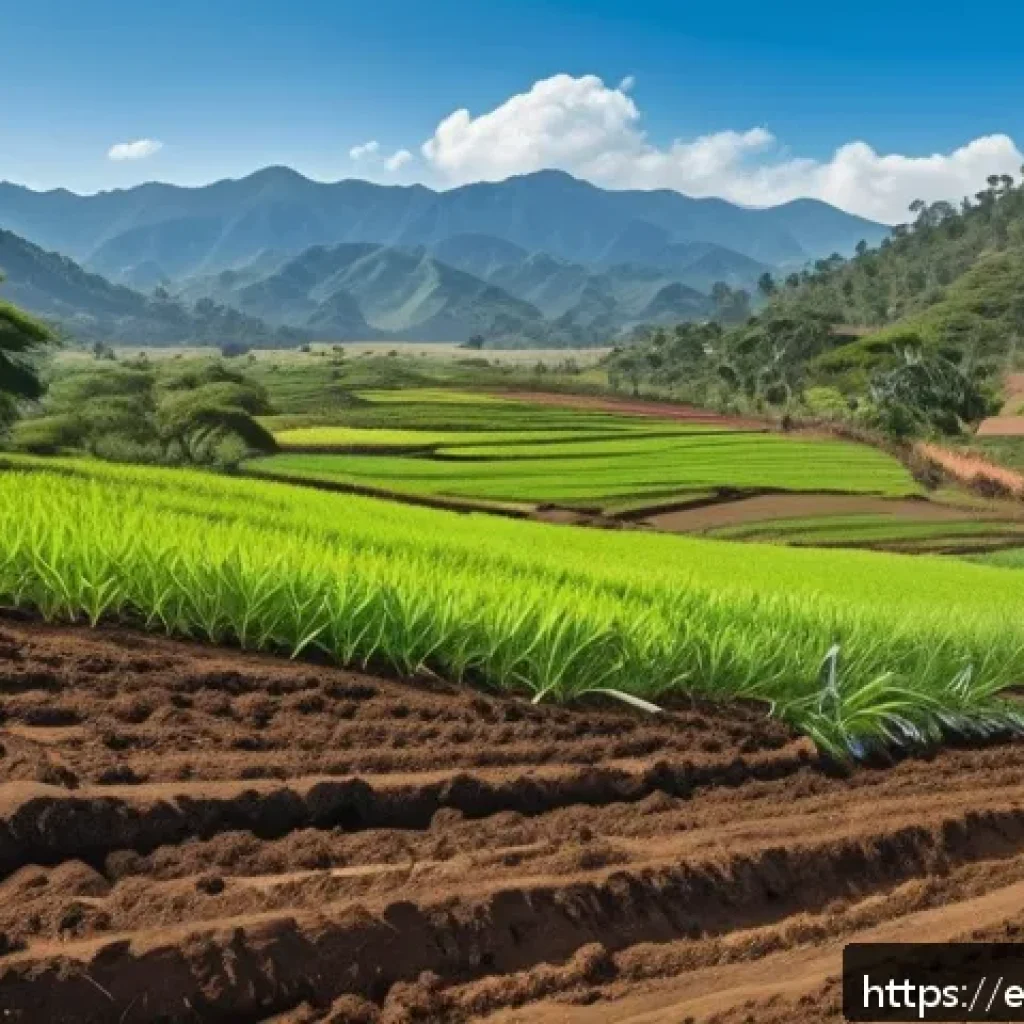 생태계 복원 기술과 생물 다양성 - A vibrant Latin American rural landscape showcasing a sustainable agroforestry system with native tr...