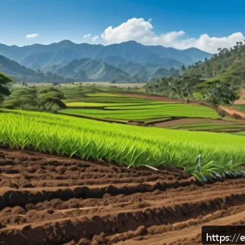 생태계 복원 기술과 생물 다양성 - A vibrant Latin American rural landscape showcasing a sustainable agroforestry system with native tr...