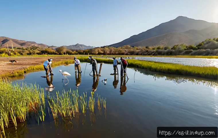 생태계 복원 기술과 환경 정책 - Photorealistic wide-angle scene of a Mediterranean wetland restoration project in southern Spain, di...